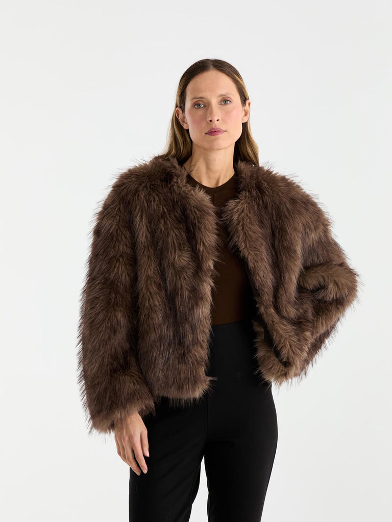 Ally Faux Fur Jacket (Multi)