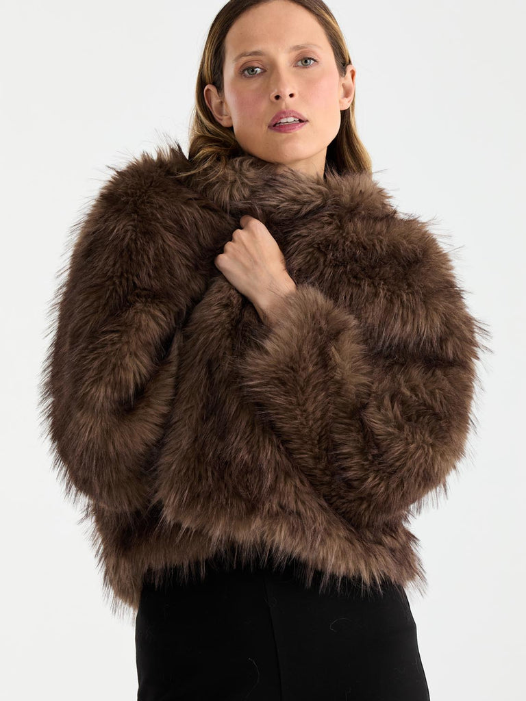Ally Faux Fur Jacket (Multi)